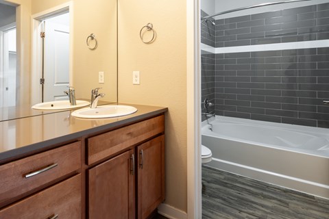 A bathroom with a sink, mirror, and bathtub.