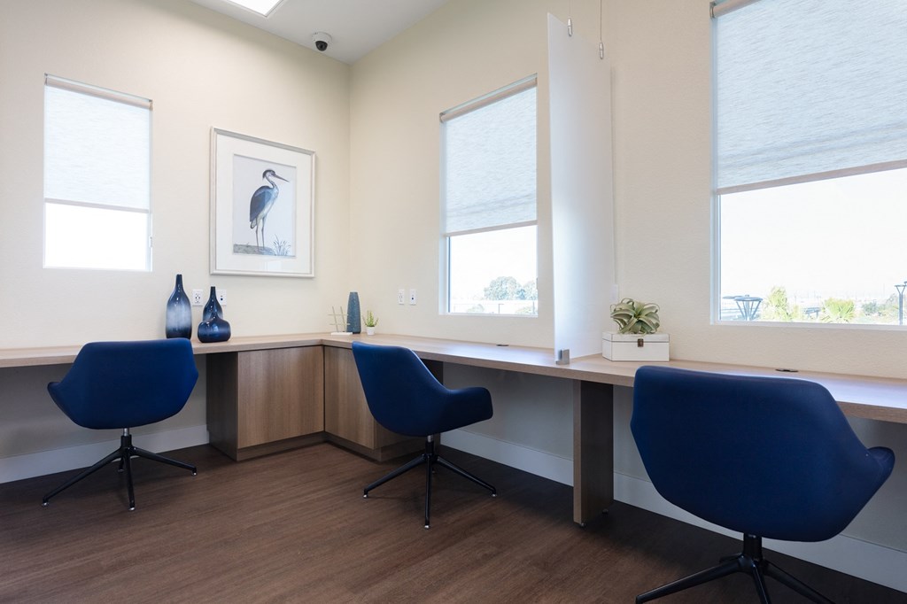 Palmia aged 55+ Luxury Apartments Fremont CA business center