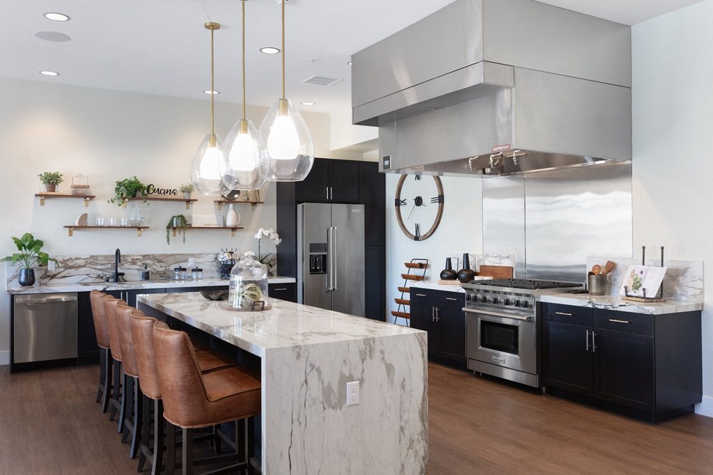Palmia aged 55+ Luxury Apartments Fremont CA club kitchen