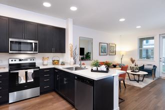 Palmia aged 55+ Luxury Apartments Fremont CA kitchen view 2