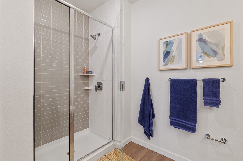 Legacy at Fitz Aurora CO shower