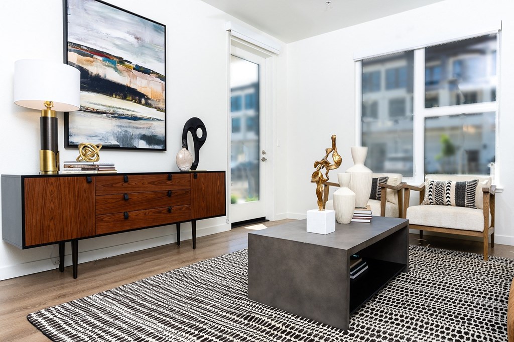 a living room with white walls and a black and white rug