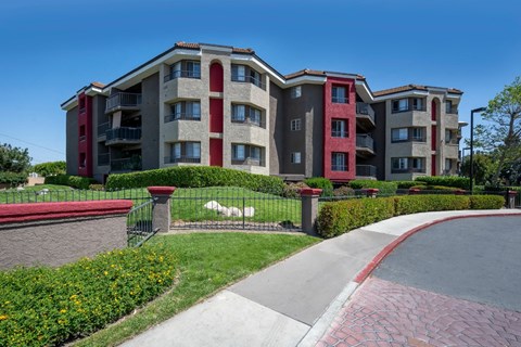 an apartment building with a white dog in front of it