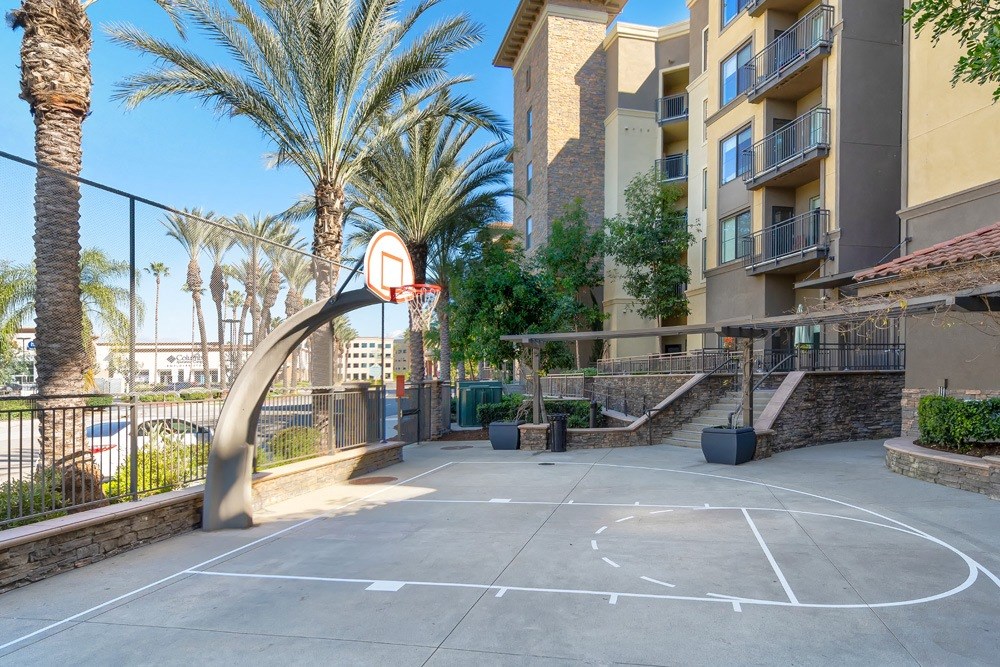 The Colony at The Lakes Basketball Court