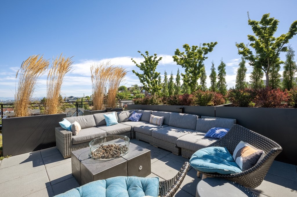 Acoma Denver CO roof top 2