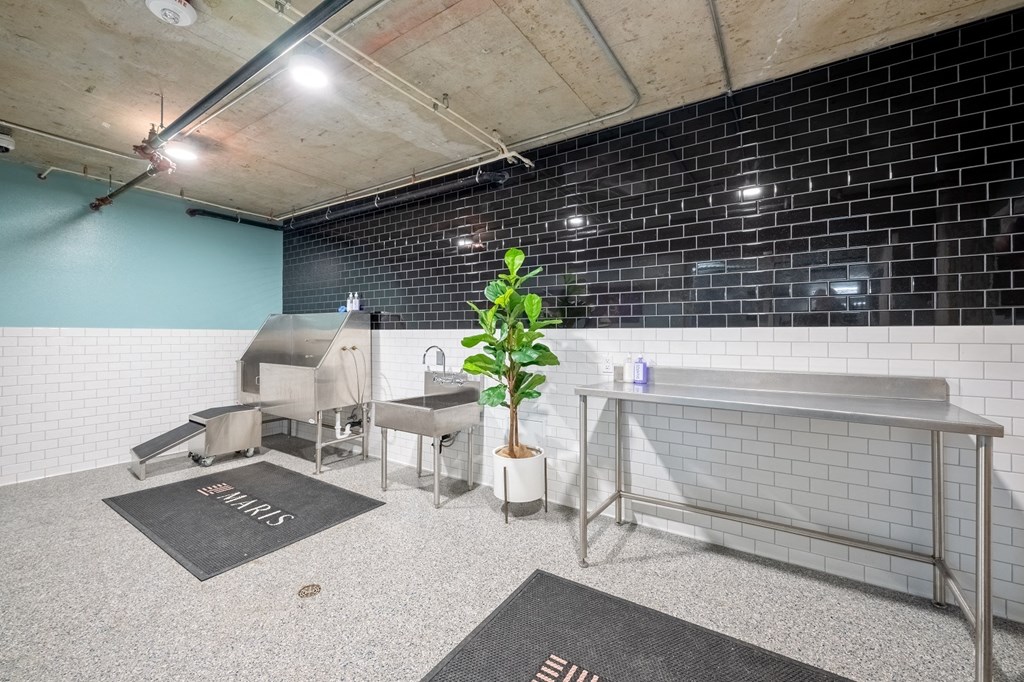 Acoma Denver CO dog wash