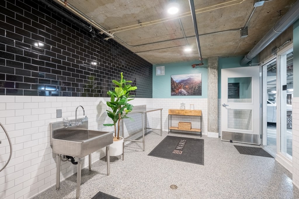 Acoma Denver CO dog wash 2