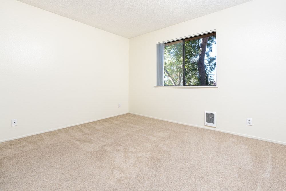 an empty room with a window and carpet