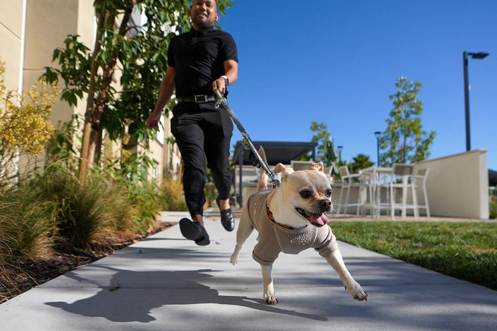 a man running with a dog on a leash on a sidewalk
