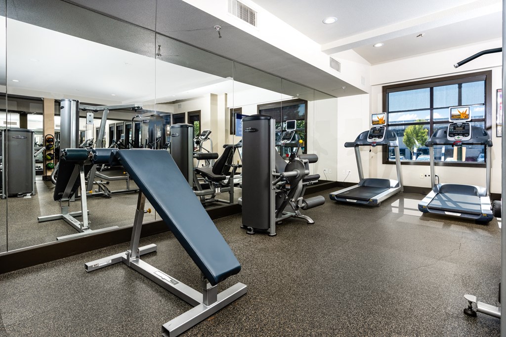 a gym with cardio equipment and weights on the floor