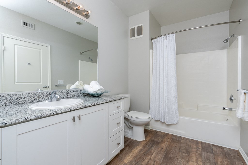 a bathroom with a sink and a toilet and a shower