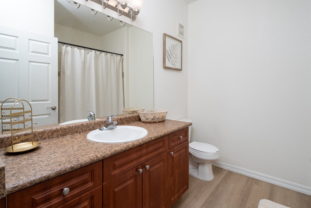 A bathroom with a sink, toilet, and a mirror.