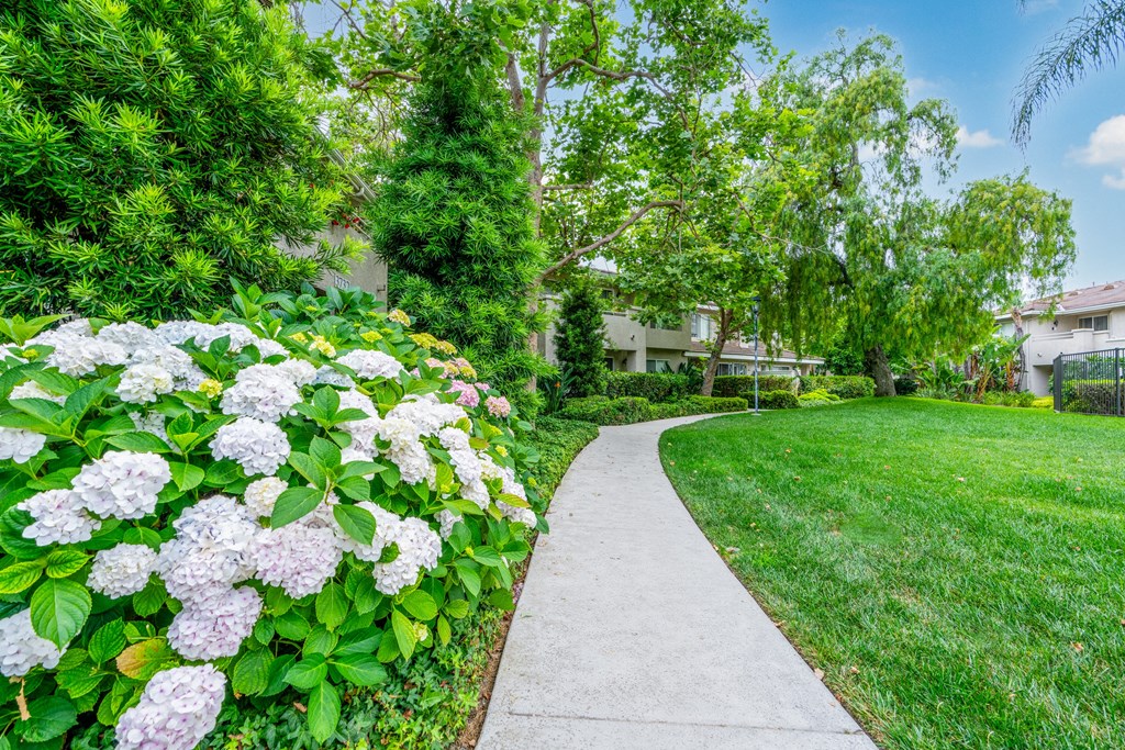 a walkway through a garden with white hydrangeas and green grass