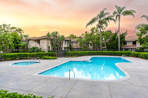 a swimming pool with palm trees and buildings in the background