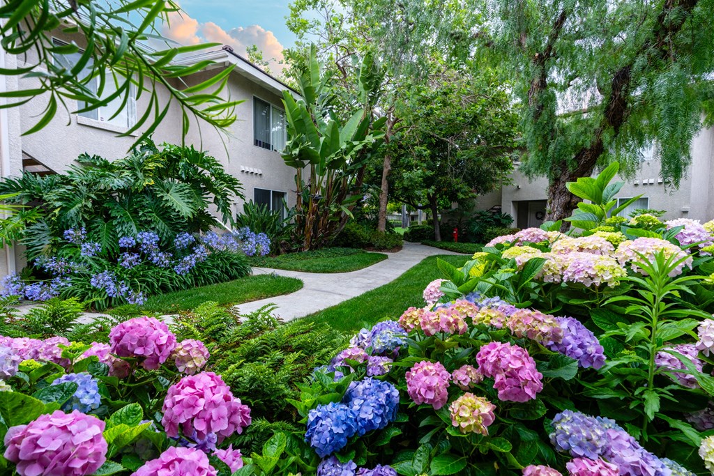 a garden with flowers in front of a white house