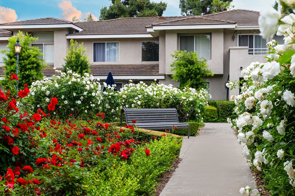 a bench sitting in a garden in front of a house