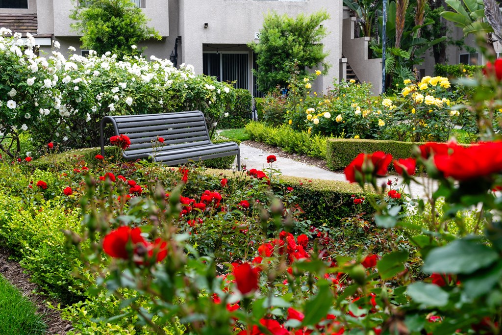 a park bench in a garden with flowers