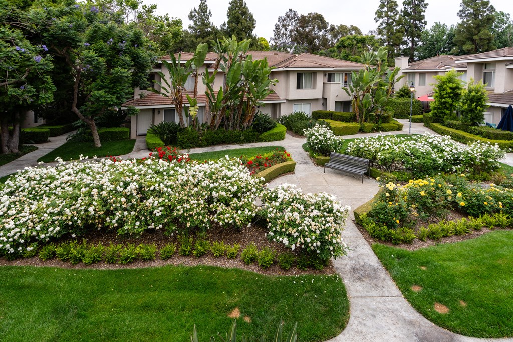 a park with a bench and flowers in front of houses