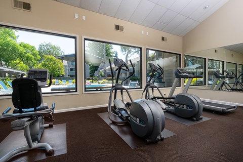 A gym with a row of treadmills and elliptical machines.