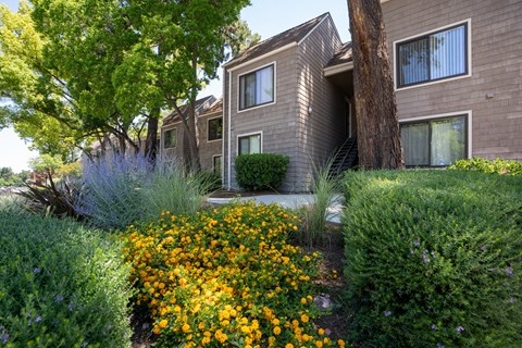 A building with a brown facade is surrounded by a garden with yellow flowers.