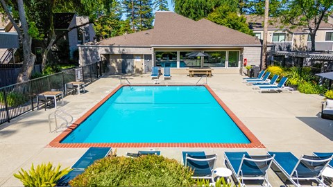 A swimming pool surrounded by chairs and trees.
