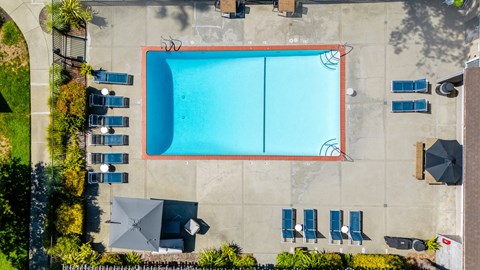 An aerial view of a swimming pool surrounded by lounge chairs and umbrellas.
