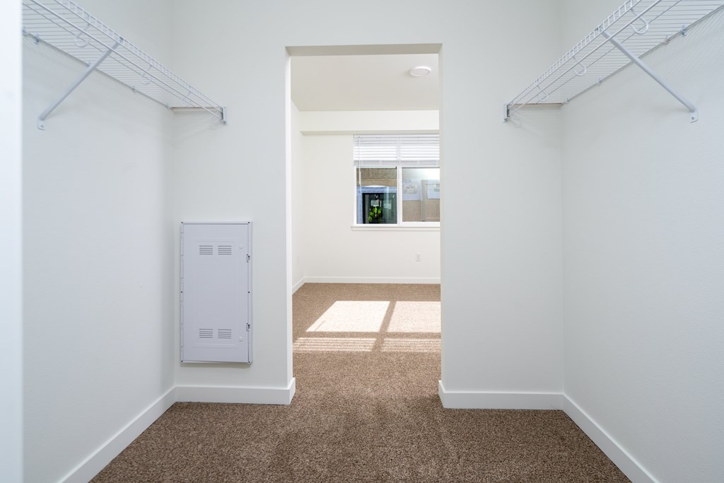 A hallway with white walls and a brown carpet.