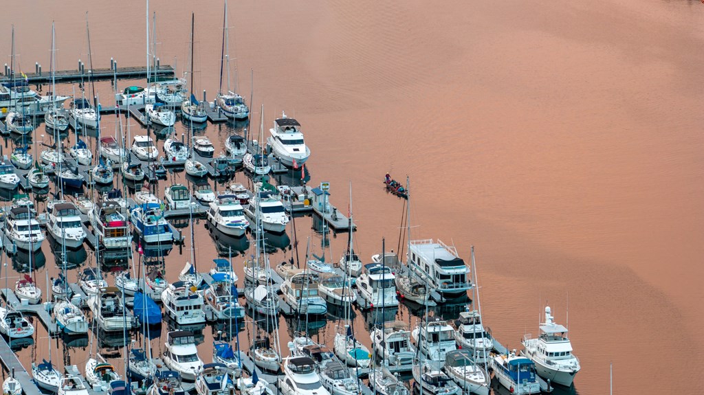 A large number of boats are docked in a marina.