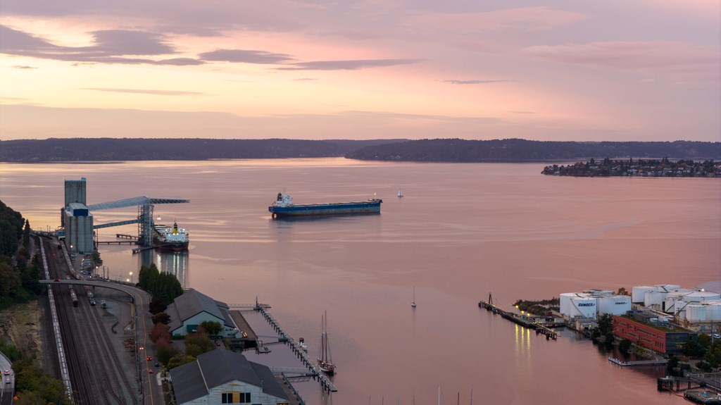 A large body of water with a boat and a bridge in the background.