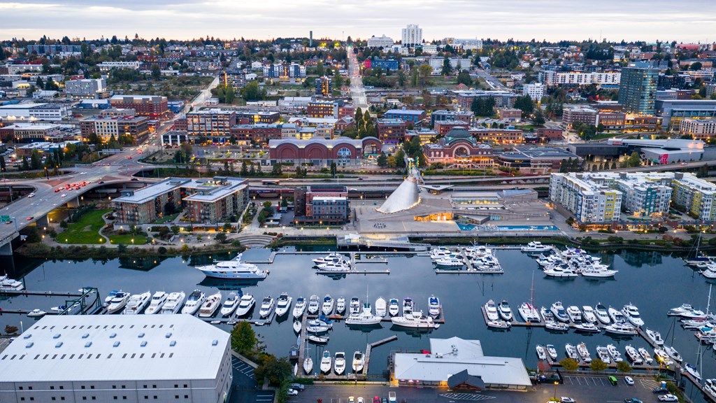 A cityscape with a marina filled with boats.