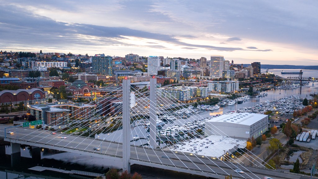 A cityscape with a large white bridge in the foreground.