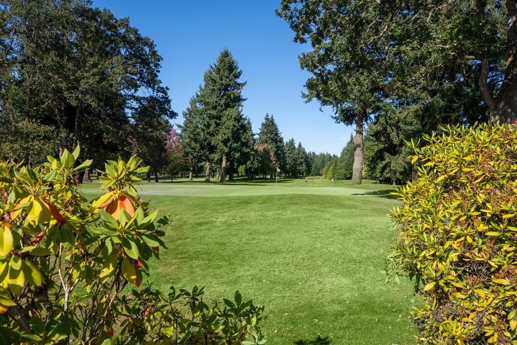 A lush green lawn surrounded by trees and shrubs.