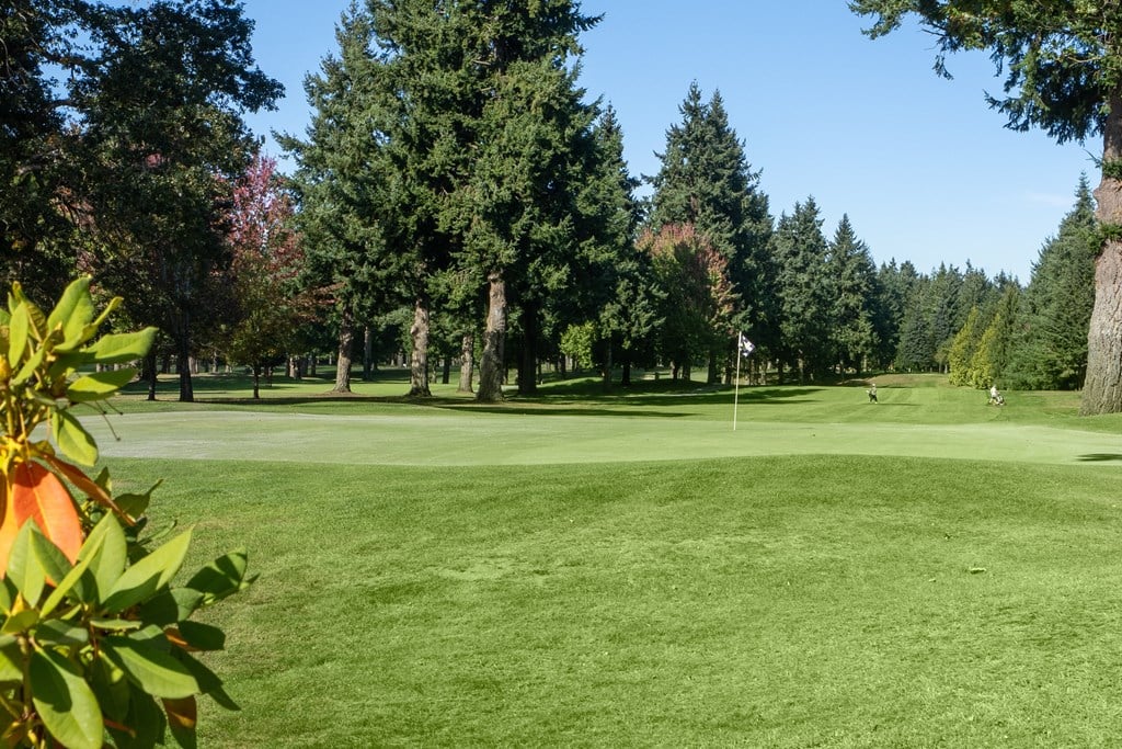 A golf course with a green lawn and trees in the background.