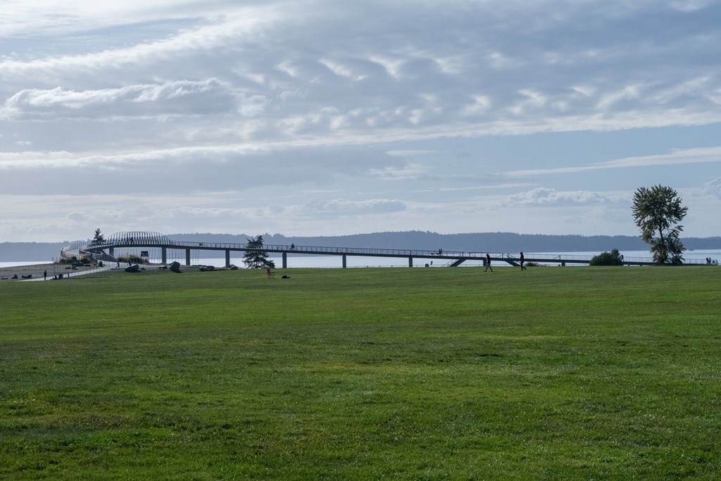 A grassy field with a bridge in the distance.