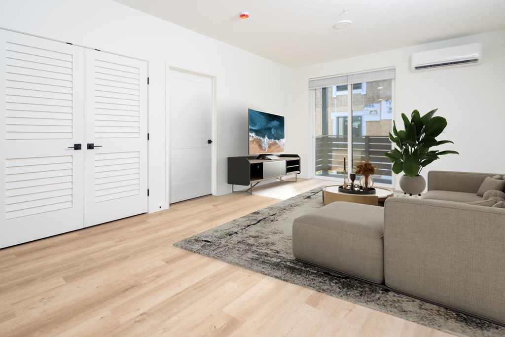 A living room with a couch, a rug, a television, and a plant.