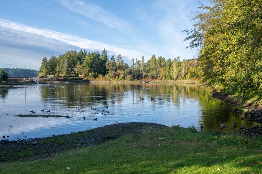 A serene lake surrounded by lush greenery and trees.