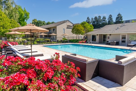 A pool surrounded by red flowers and lounge chairs.