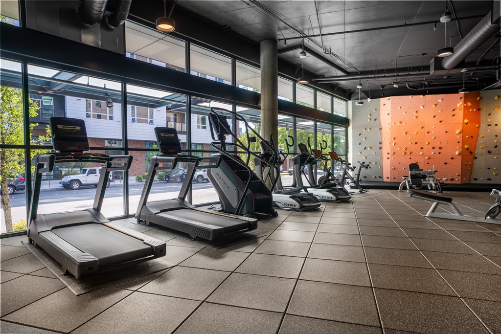 A gym with treadmills and exercise equipment.