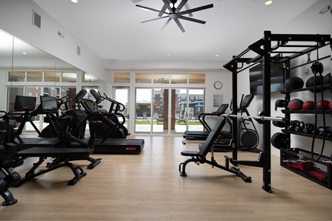 A gym with a variety of equipment including treadmills, weights, and a fan.