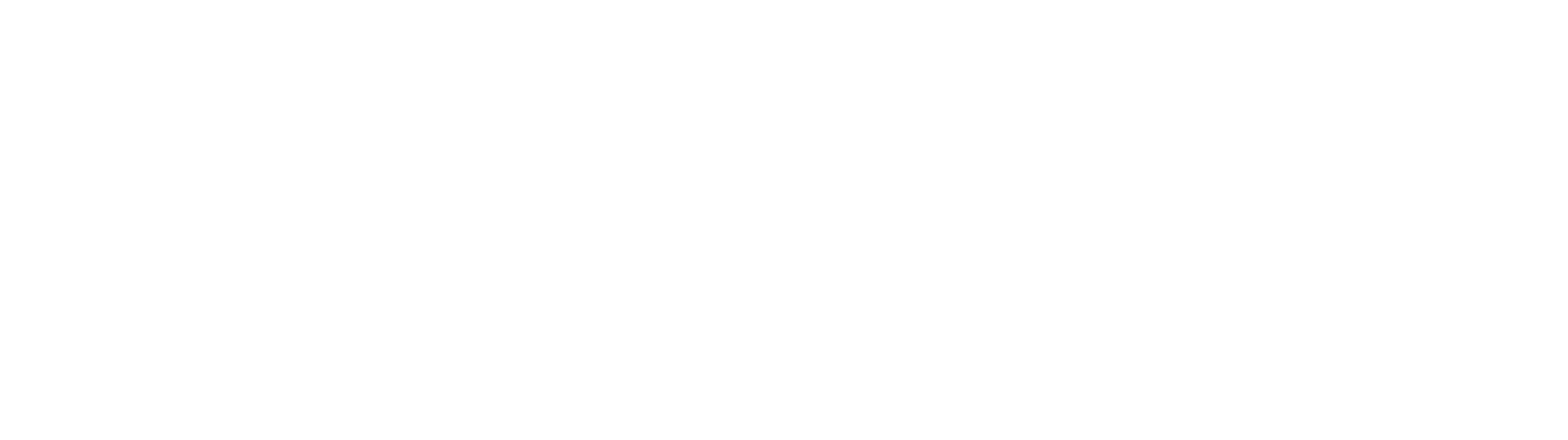 International Plaza logo