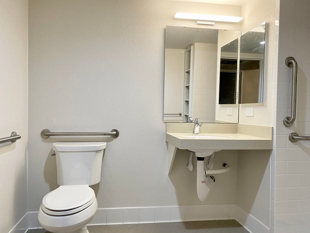 a bathroom with a toilet and a sink and a mirror