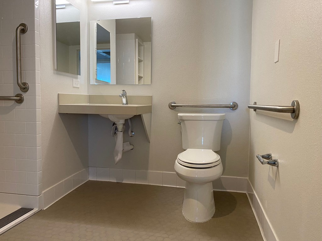 a bathroom with a toilet and a sink and a mirror