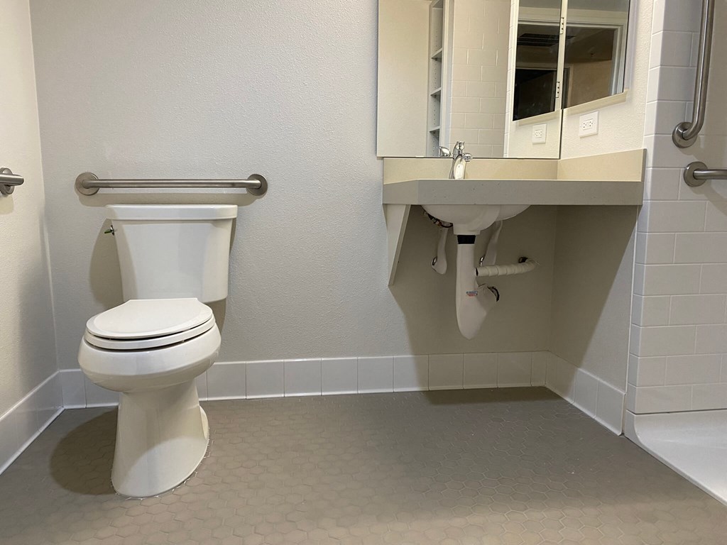 a bathroom with a toilet and a sink and a mirror