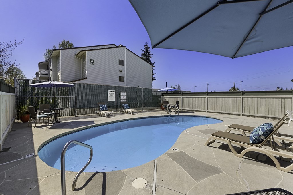 Resort Style Pool with Lounge Chairs in the Sun at Campo Basso Apartment Homes, WA 98087