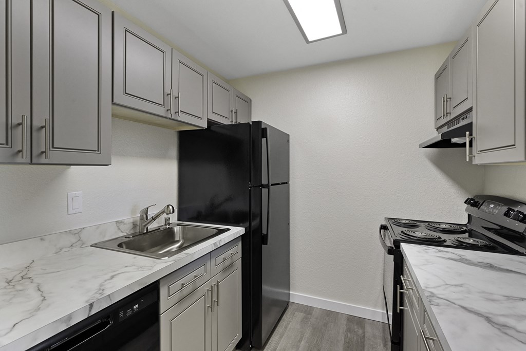 Kitchen View of Efficient Appliances like Dishwasher and Refrigerator, Grey Cabinetry, and Plank Flooring at Campo Basso Apartment Homes, Lynnwood, Washington 98087