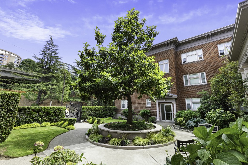 A Tree in the Middle of the Resident Courtyard with Brick Apartments in the Background at Carolina Court Apartment Homes, Seattle, WA
