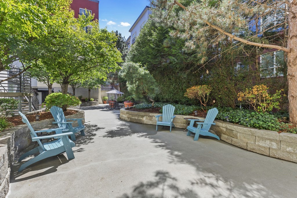 Outdoor Resident Seating Lounge with Blue Adirondack Chairs and Shaded Area from Tall Trees and Manicured Landscaping at Promenade at the Park Apartment Homes, Washington