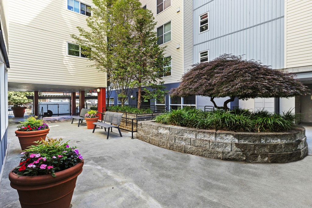 a courtyard with benches and potted plants in front of property building at Promenade at the Park Apartment Homes, Seattle, 98125