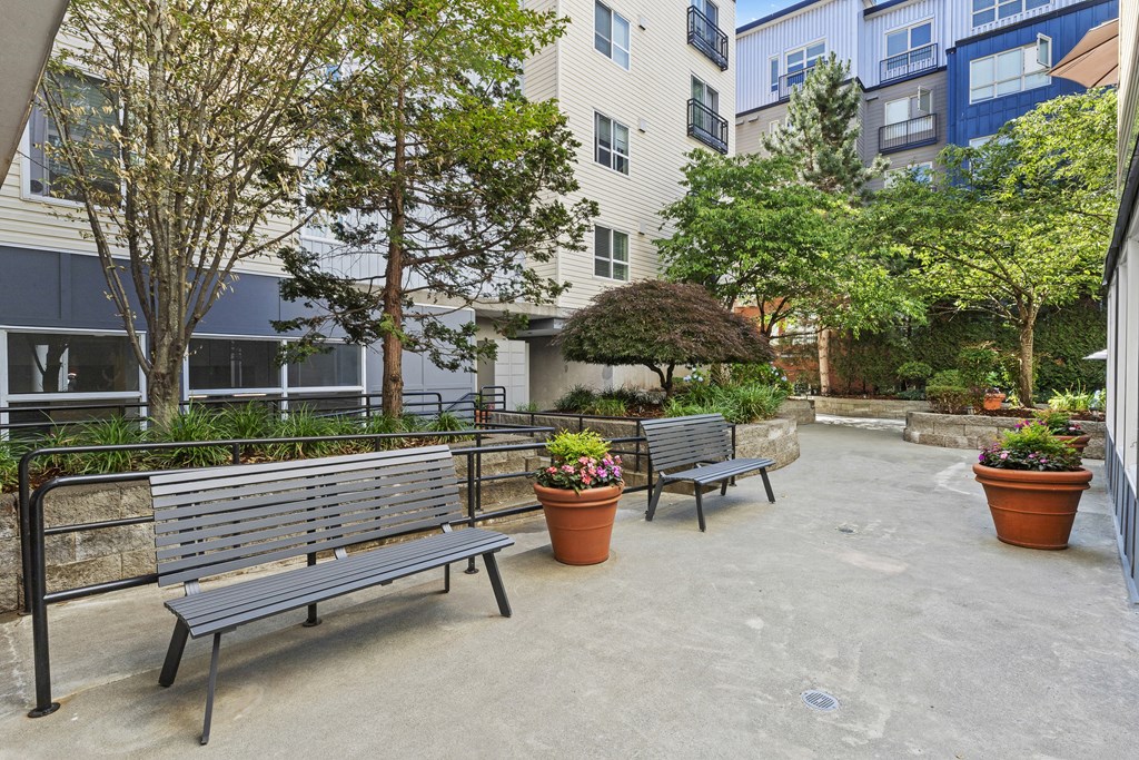 Outdoor Resident Seating Area with Benches and Trees at Promenade at the Park Apartment Homes, WA 98125