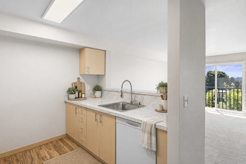 A kitchen with a sink and a window.